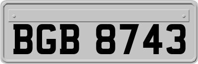 BGB8743