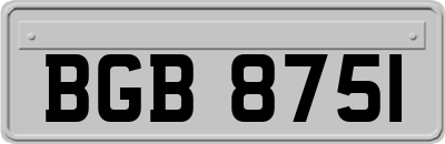 BGB8751