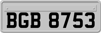 BGB8753