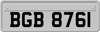 BGB8761
