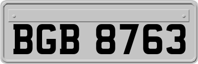 BGB8763