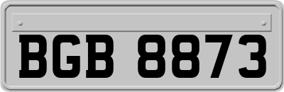 BGB8873