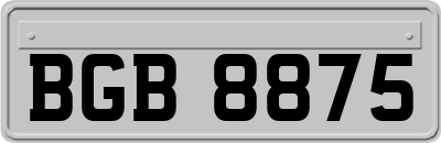 BGB8875