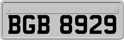 BGB8929