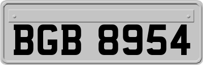 BGB8954