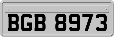BGB8973