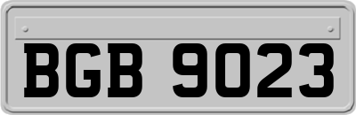 BGB9023