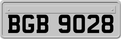 BGB9028