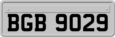 BGB9029