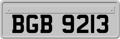BGB9213