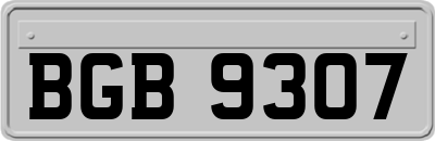 BGB9307