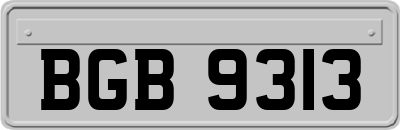 BGB9313