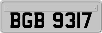 BGB9317