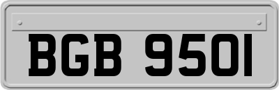 BGB9501
