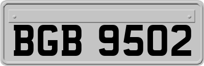 BGB9502