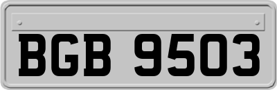 BGB9503