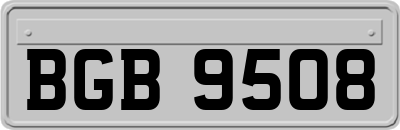 BGB9508