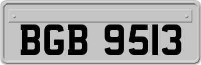 BGB9513