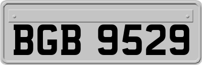 BGB9529