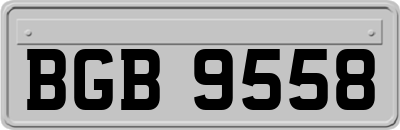 BGB9558