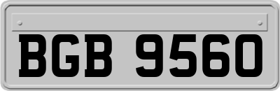 BGB9560