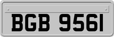 BGB9561