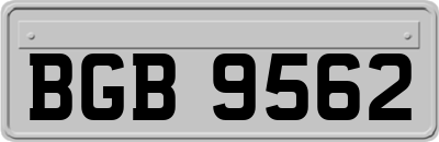 BGB9562