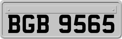 BGB9565