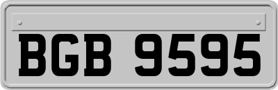BGB9595