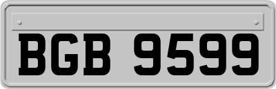 BGB9599