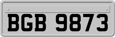 BGB9873