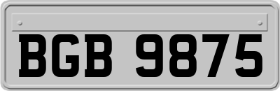BGB9875