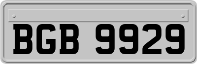 BGB9929