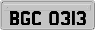 BGC0313