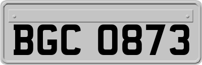 BGC0873