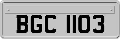 BGC1103