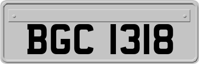 BGC1318