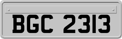 BGC2313