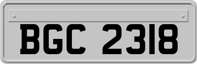 BGC2318