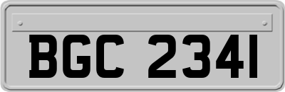 BGC2341