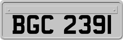 BGC2391