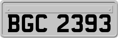 BGC2393