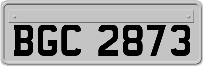 BGC2873
