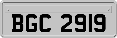 BGC2919