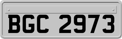 BGC2973