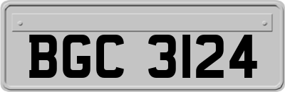 BGC3124