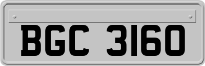 BGC3160