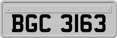 BGC3163