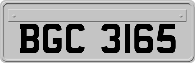 BGC3165