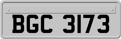 BGC3173